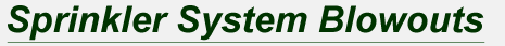Sprinkler System Blowouts